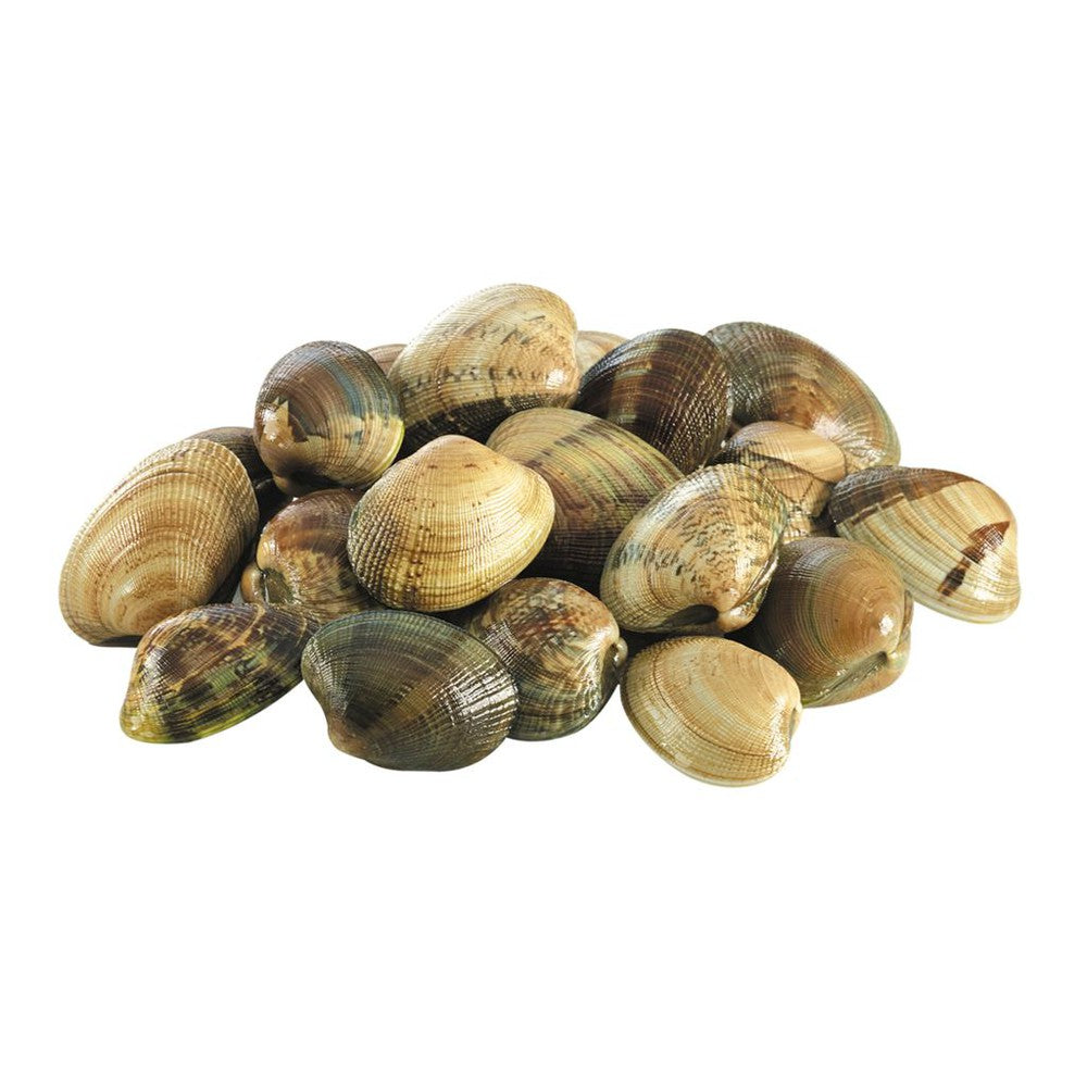 Raw Clams Whole 40/60 | 1kg