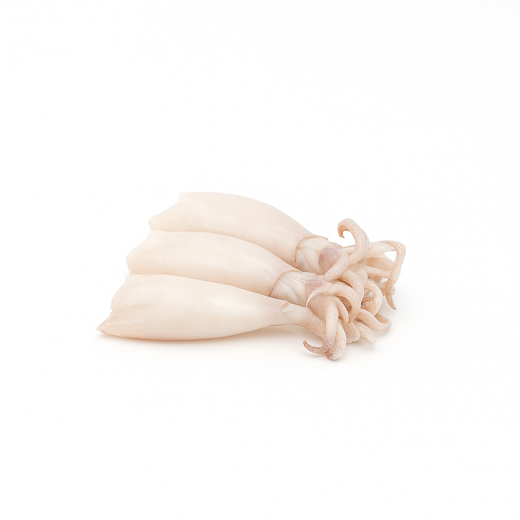 OG Loligo Squid Whole with Tentacles 20/40 | 1kg