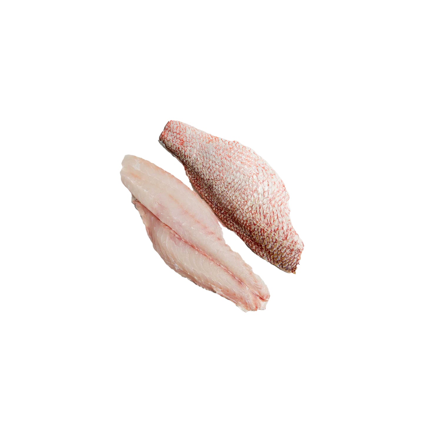 Frozen Red Snapper Fillet 100-300g