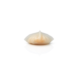Mixed Seafood Dumpling | 20g | 24pc