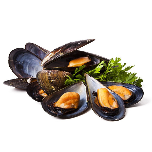 Frozen Cooked Whole Mussel 60/80 | 1kg