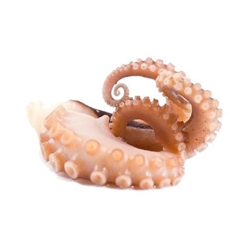 Octopus Tentacles | 1kg