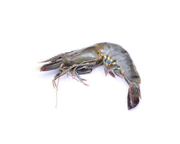 Frozen Raw Head On Shell On 41/50 Vannamei Soft Shell Prawns