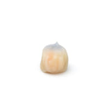 Frozen Chicken and Prawn Dumpling with Coriander | 20g | 30pc
